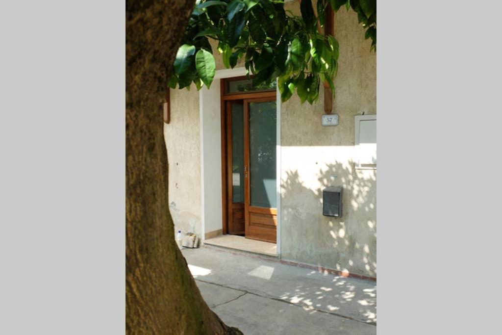 La Casina Di Bruna Mommio المظهر الخارجي الصورة