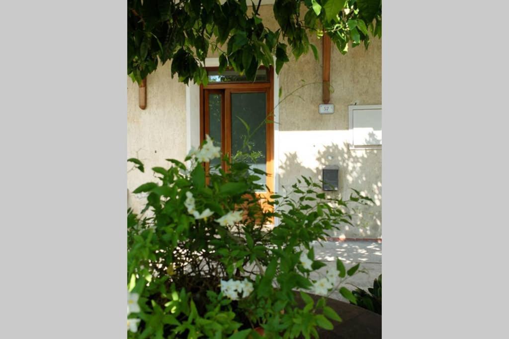 La Casina Di Bruna Mommio المظهر الخارجي الصورة