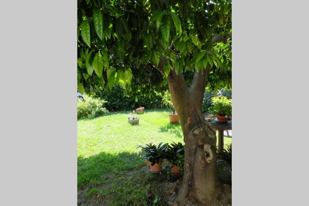La Casina Di Bruna Mommio المظهر الخارجي الصورة