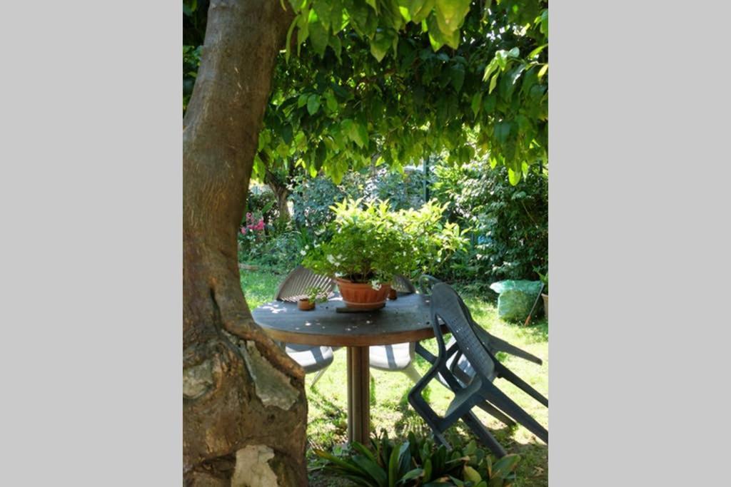 La Casina Di Bruna Mommio المظهر الخارجي الصورة